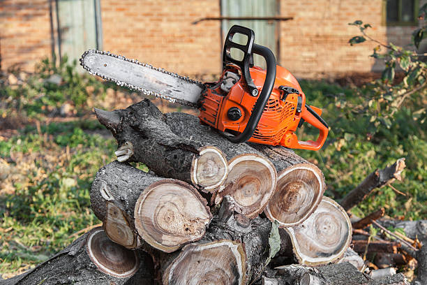 Best Commercial Tree Services  in Middlesex, NC